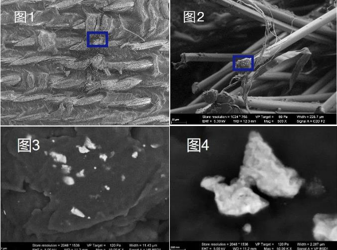 宁夏蔡司宁夏扫描电镜