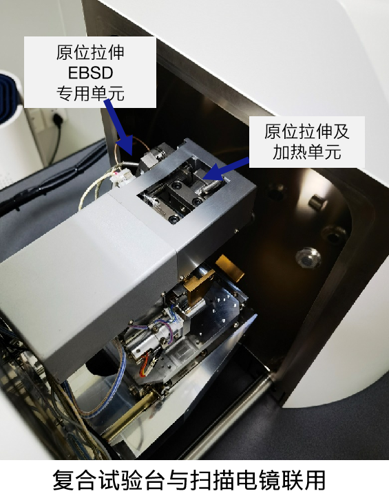 场发射宁夏扫描电镜Gemini