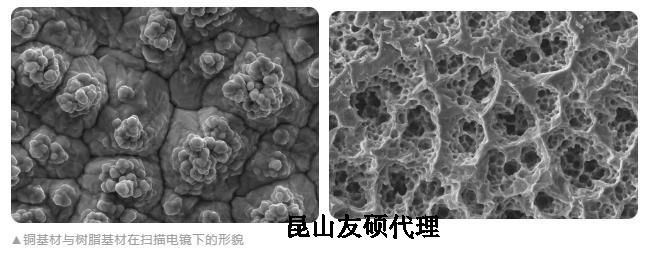 宁夏蔡司宁夏扫描电镜